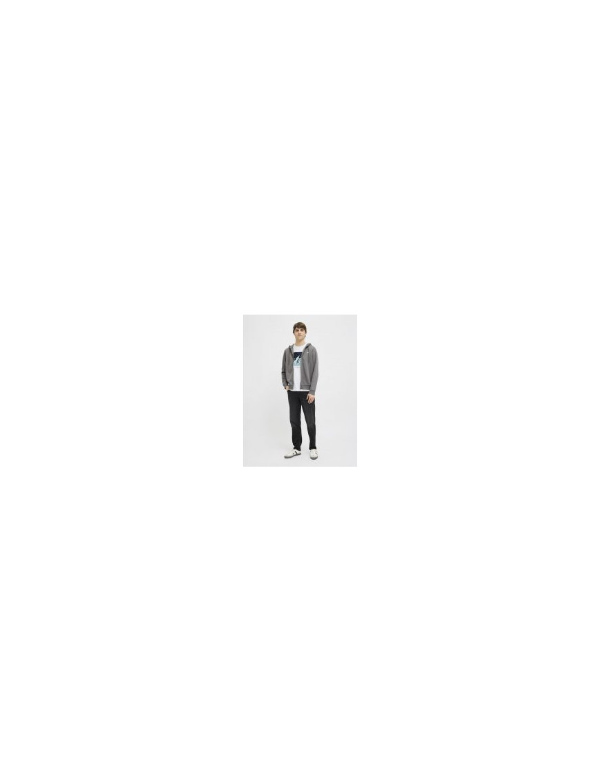T-Shirt JJ REBEL RAVEN