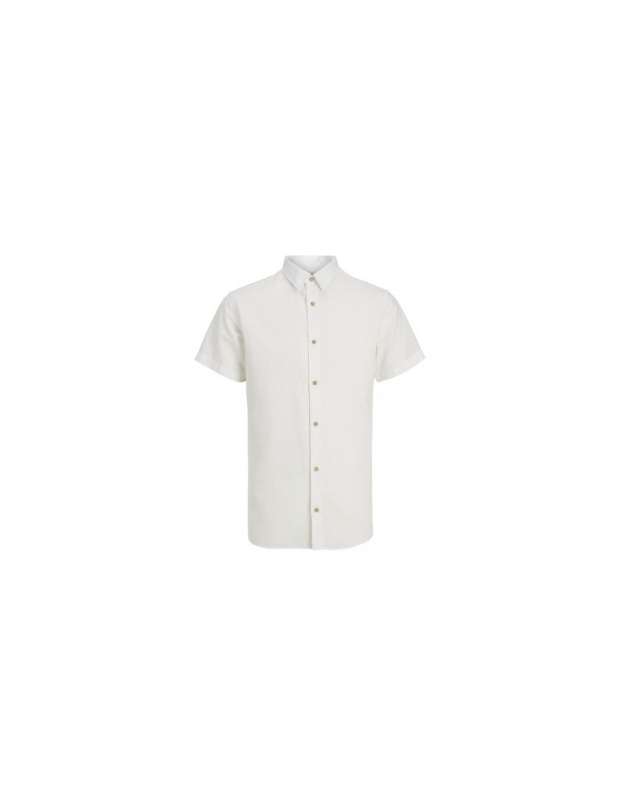Camisa JJ REBEL MOSS SUNNY Manga Curta Camisa JJ REBEL MOSS SUNNY Manga Curta